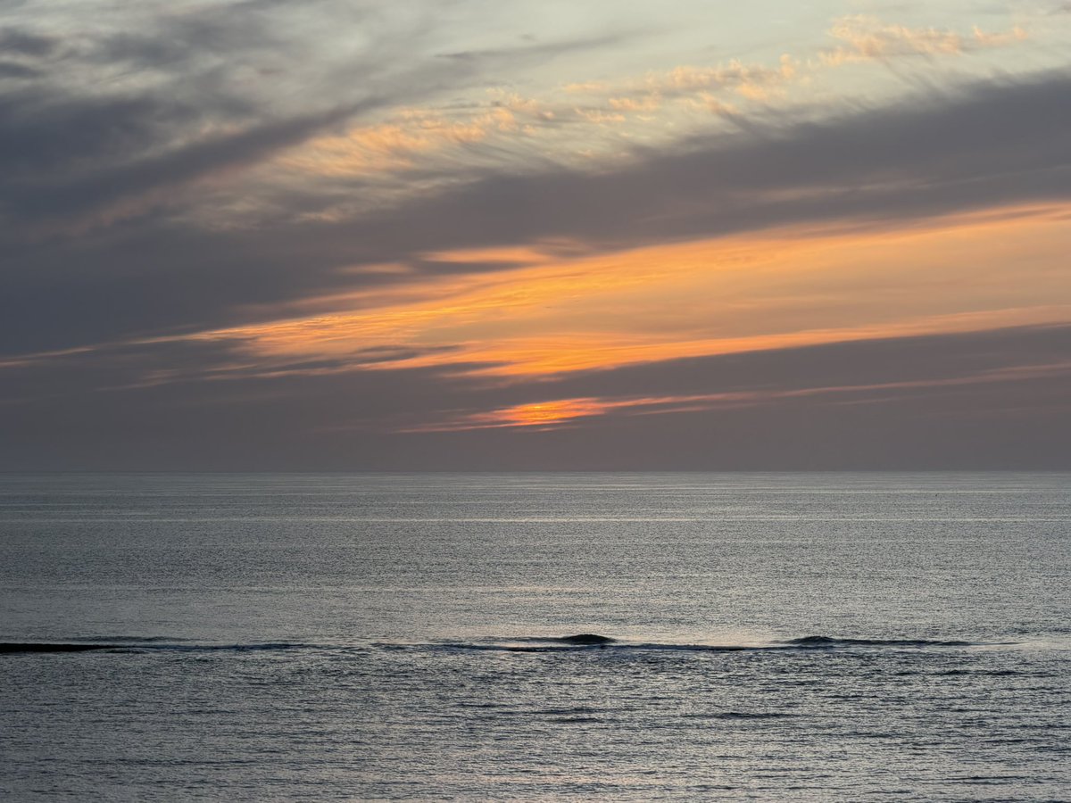 SeaWindowCraster tweet media