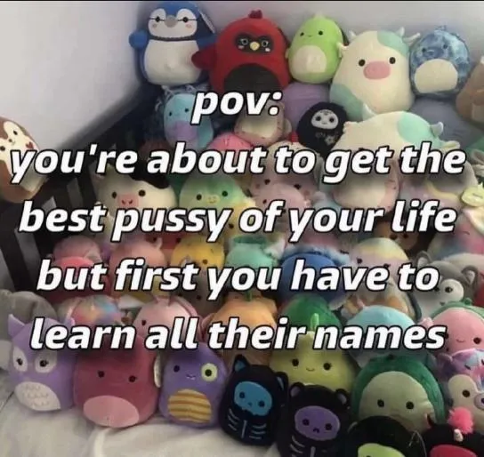 🉐 Crypto Linn tweet media