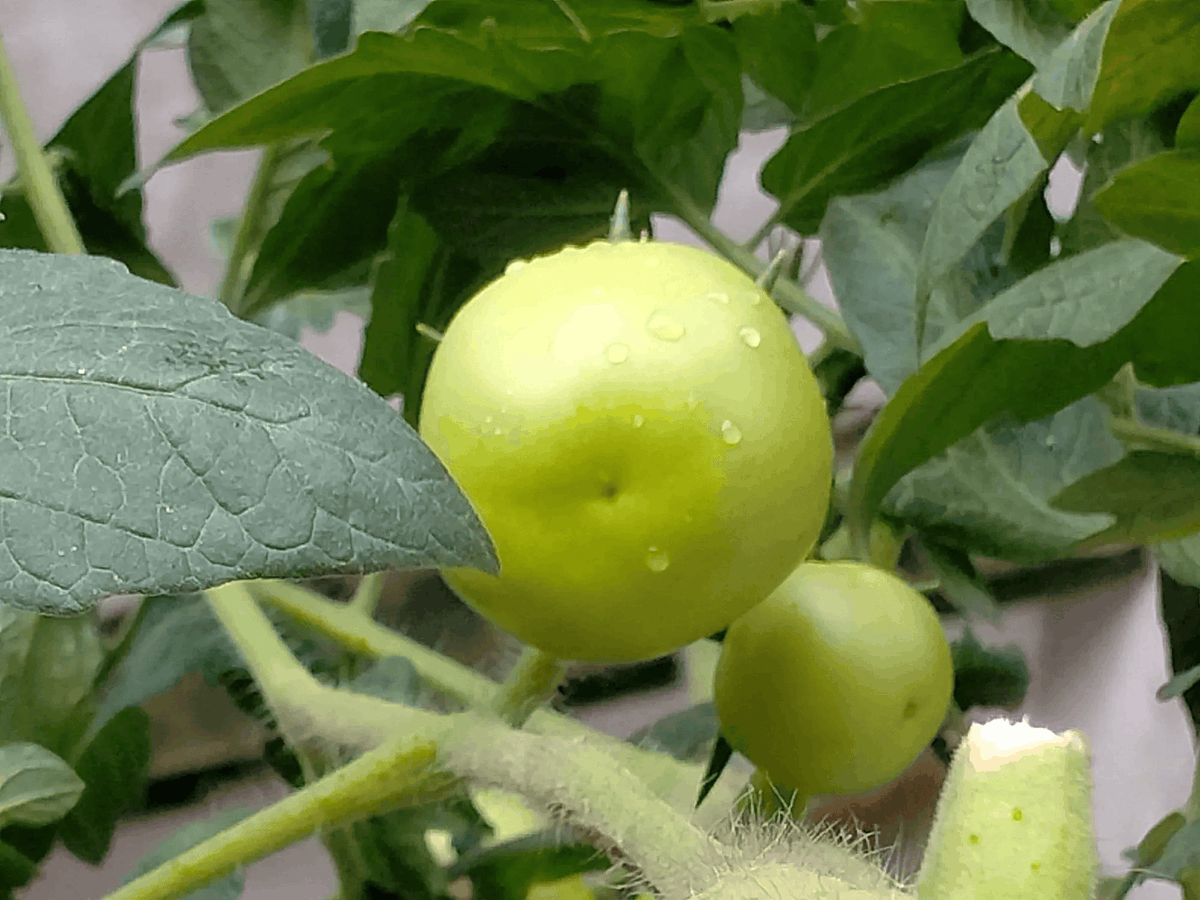 martin childs tweet media