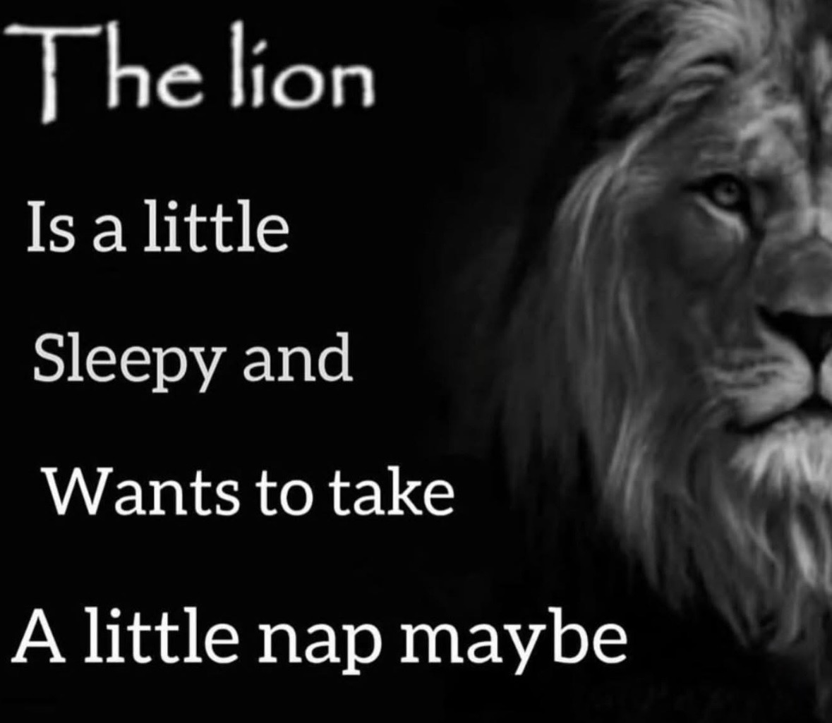 Respectful Memes tweet media