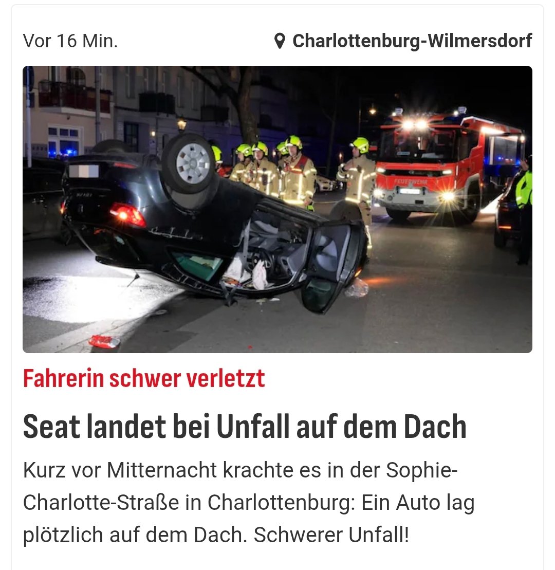 Knucklehead🚲🐝🦩🧚🏻‍♂️🐛🦋 tweet media