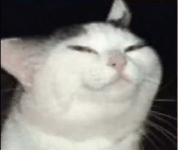 柊祈233 tweet media