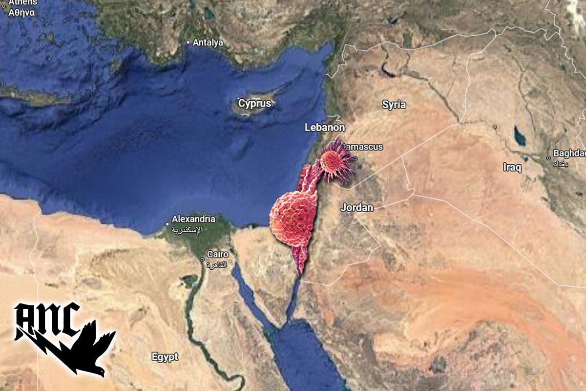 Ryan Dawson tweet media