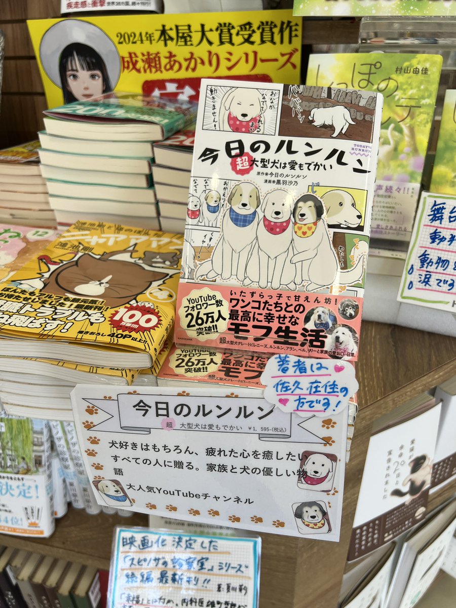 Tomoaki YUI @ 今日のルンルンコミック発売中！ tweet media