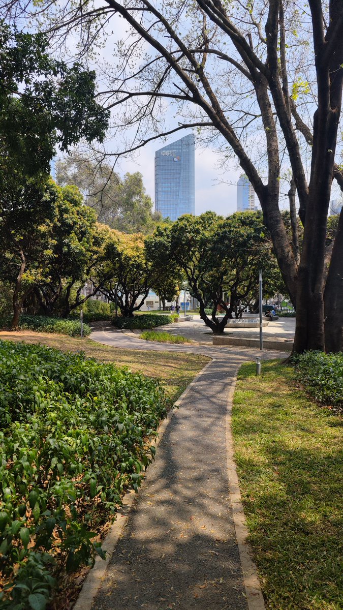 Shenzhen Pages tweet media