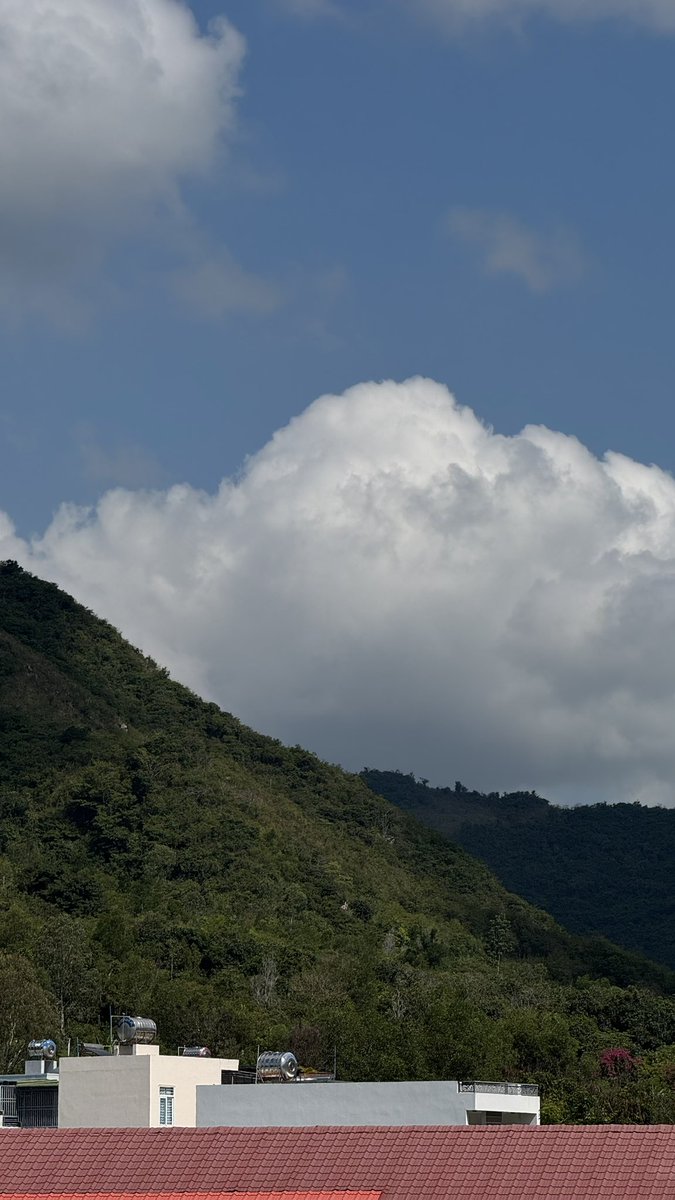 Pavel Mitiagin tweet media