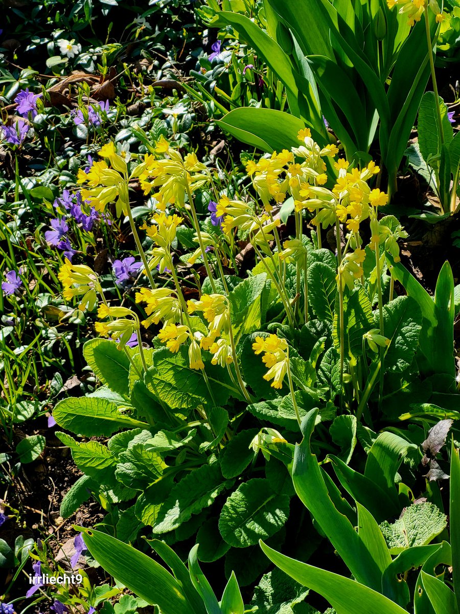 NitramSu tweet media