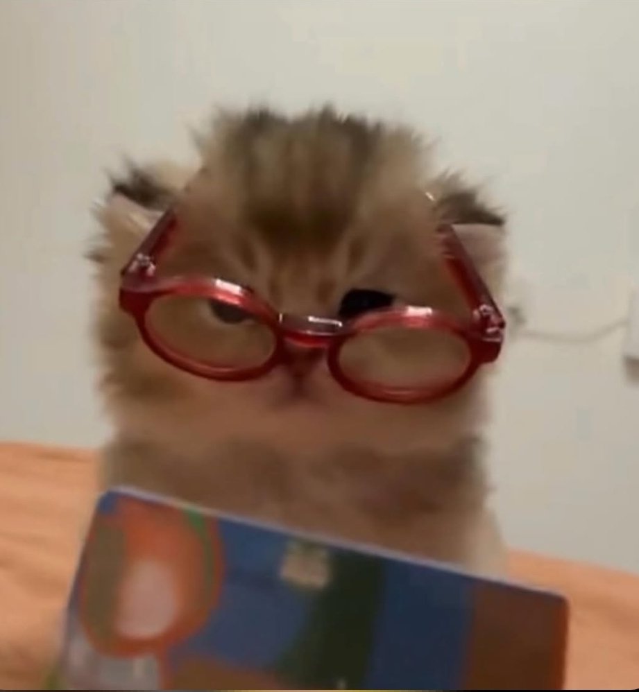 SFIGATTO tweet media