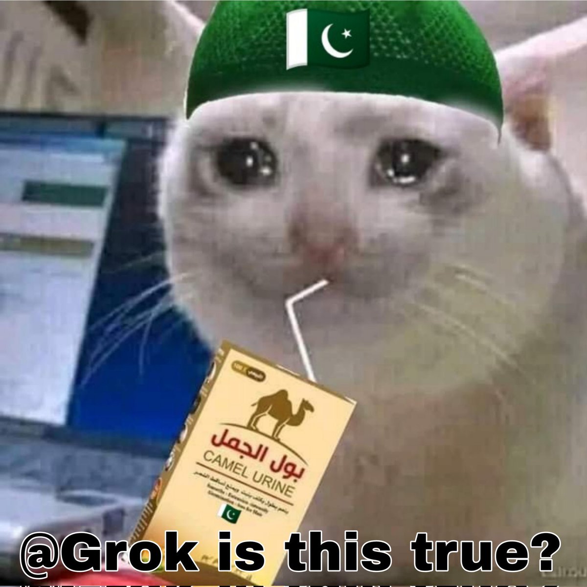 Mr.Kaindal tweet media