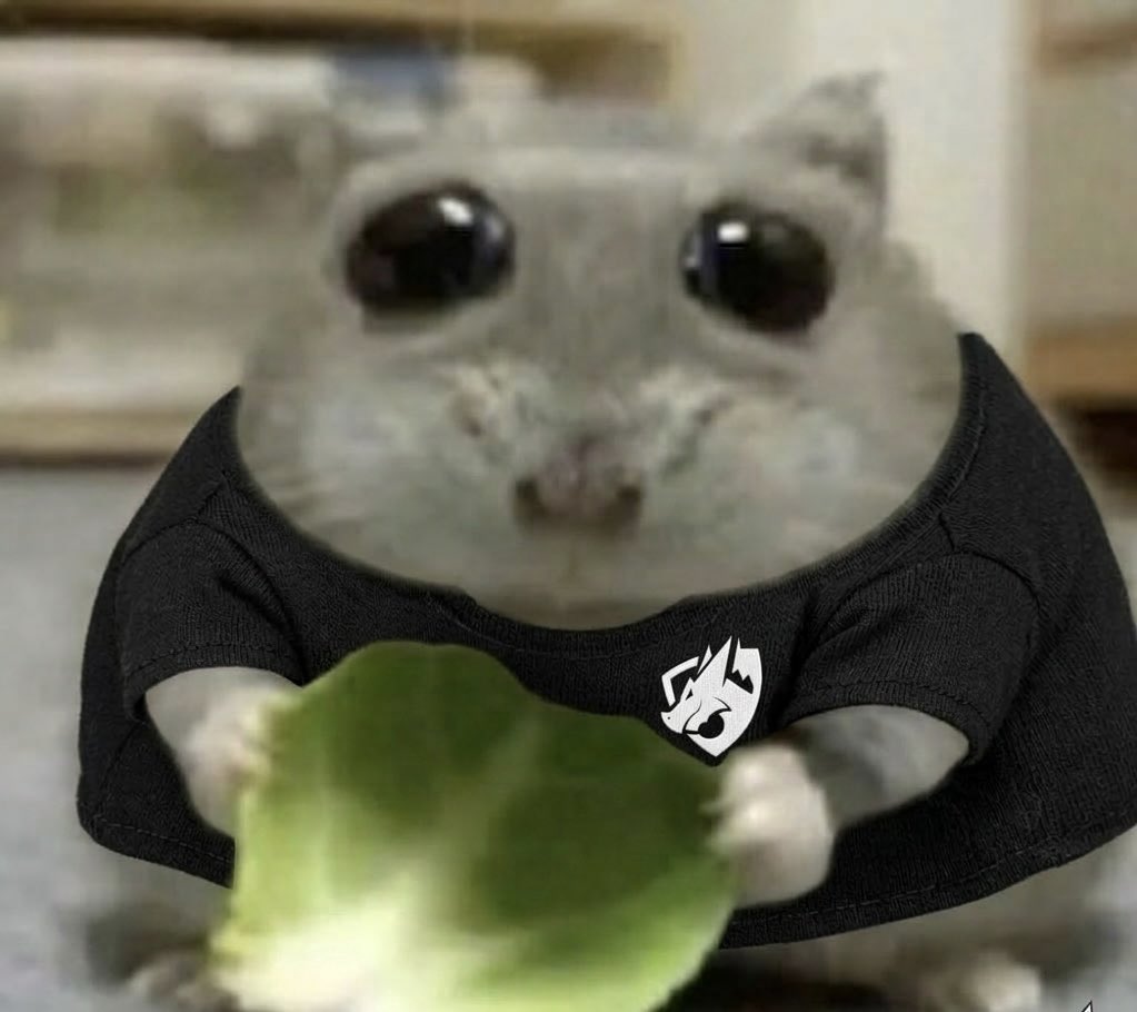 TE Memen tweet media