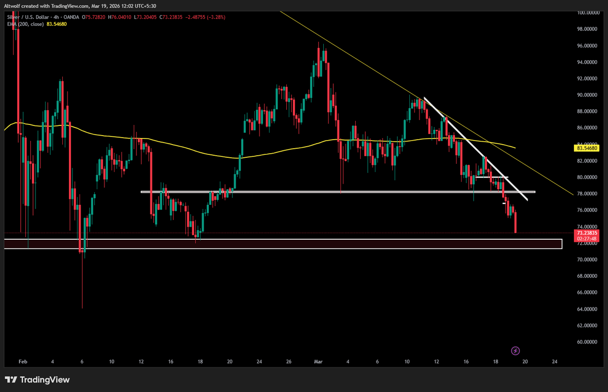 AltWolf🐺 tweet media