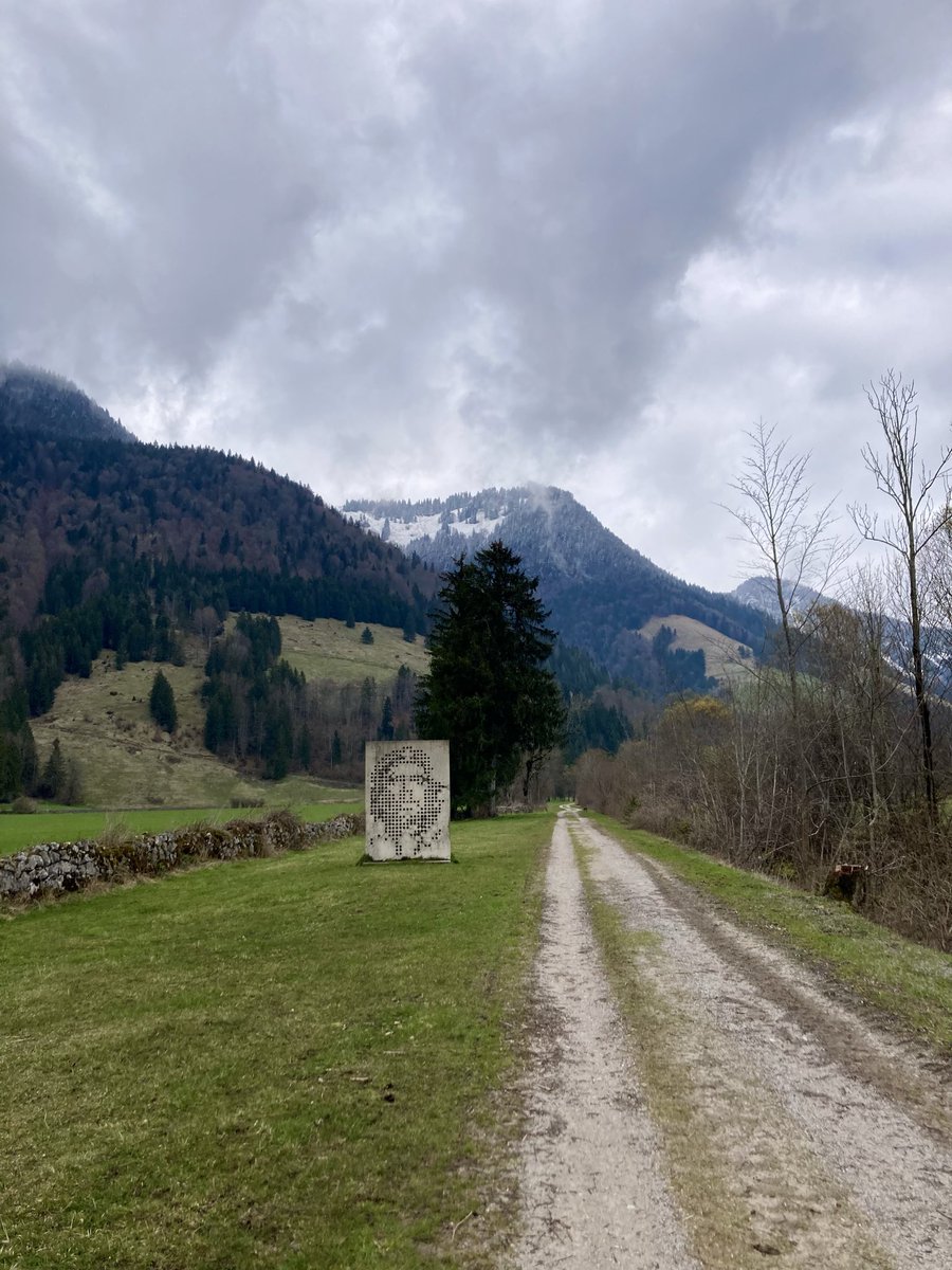 Blitzfreak⚡️🦺 tweet media