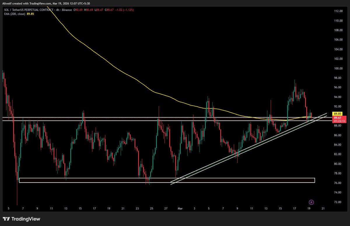 AltWolf🐺 tweet media