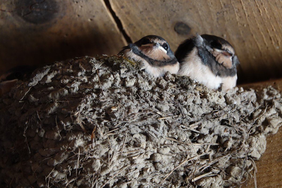 Plitvice Lakes National Park tweet media