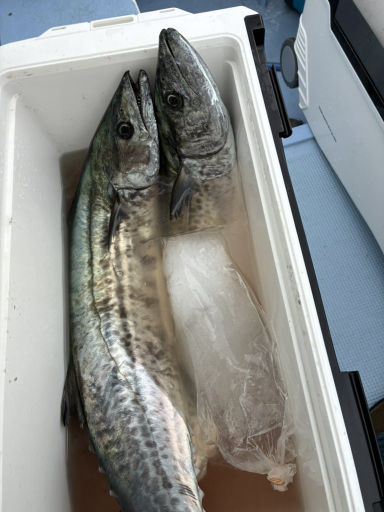 ハンドクリーム tweet media