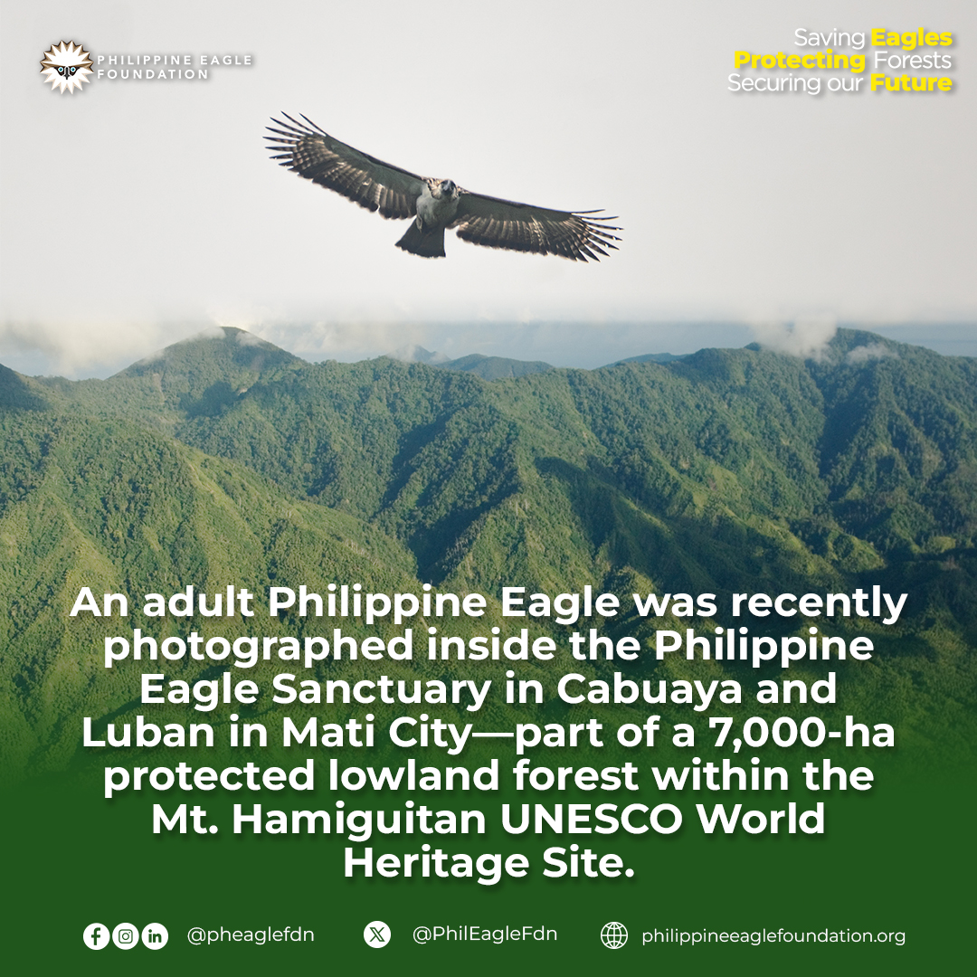 GMA Integrated News tweet media