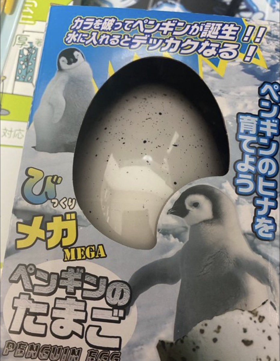 話題の面白ツイ図鑑 tweet media