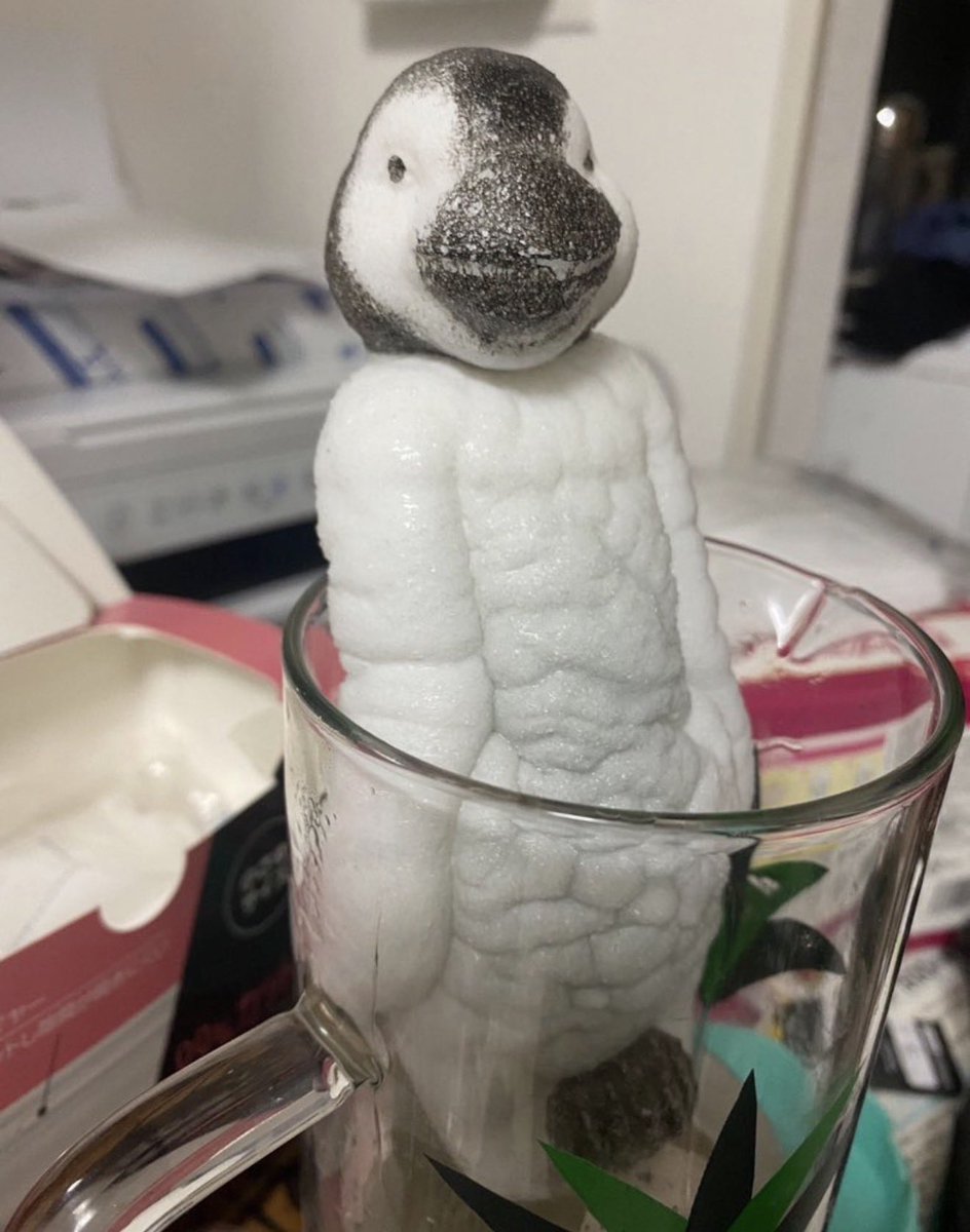 話題の面白ツイ図鑑 tweet media