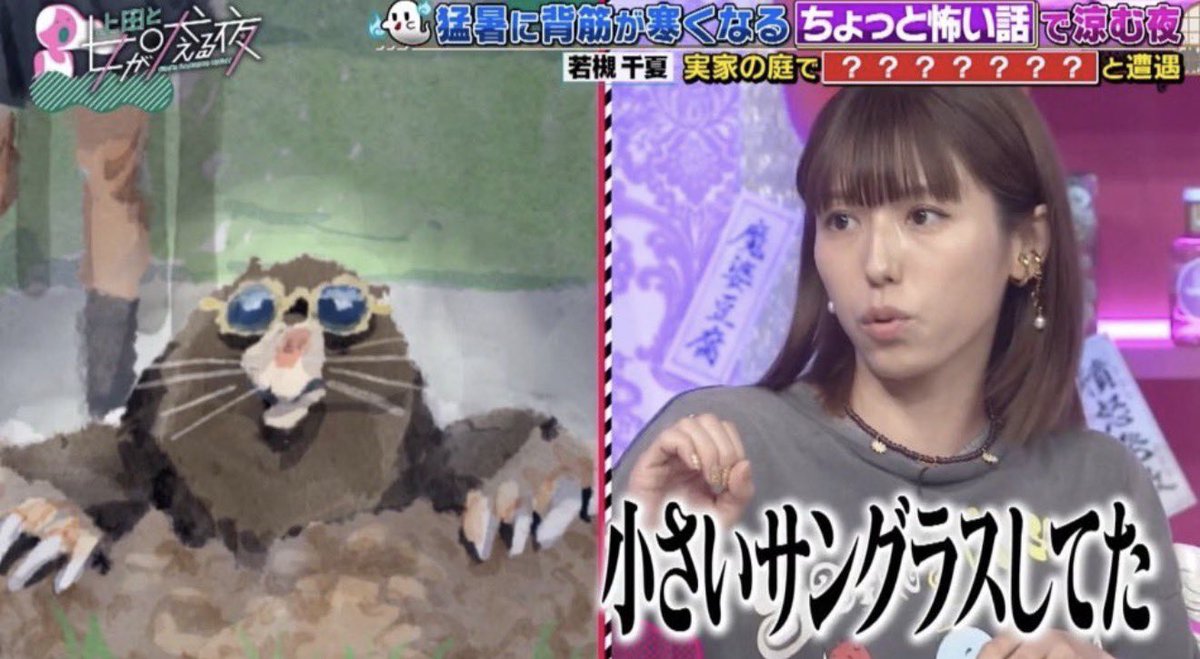 話題の面白ツイ図鑑 tweet media