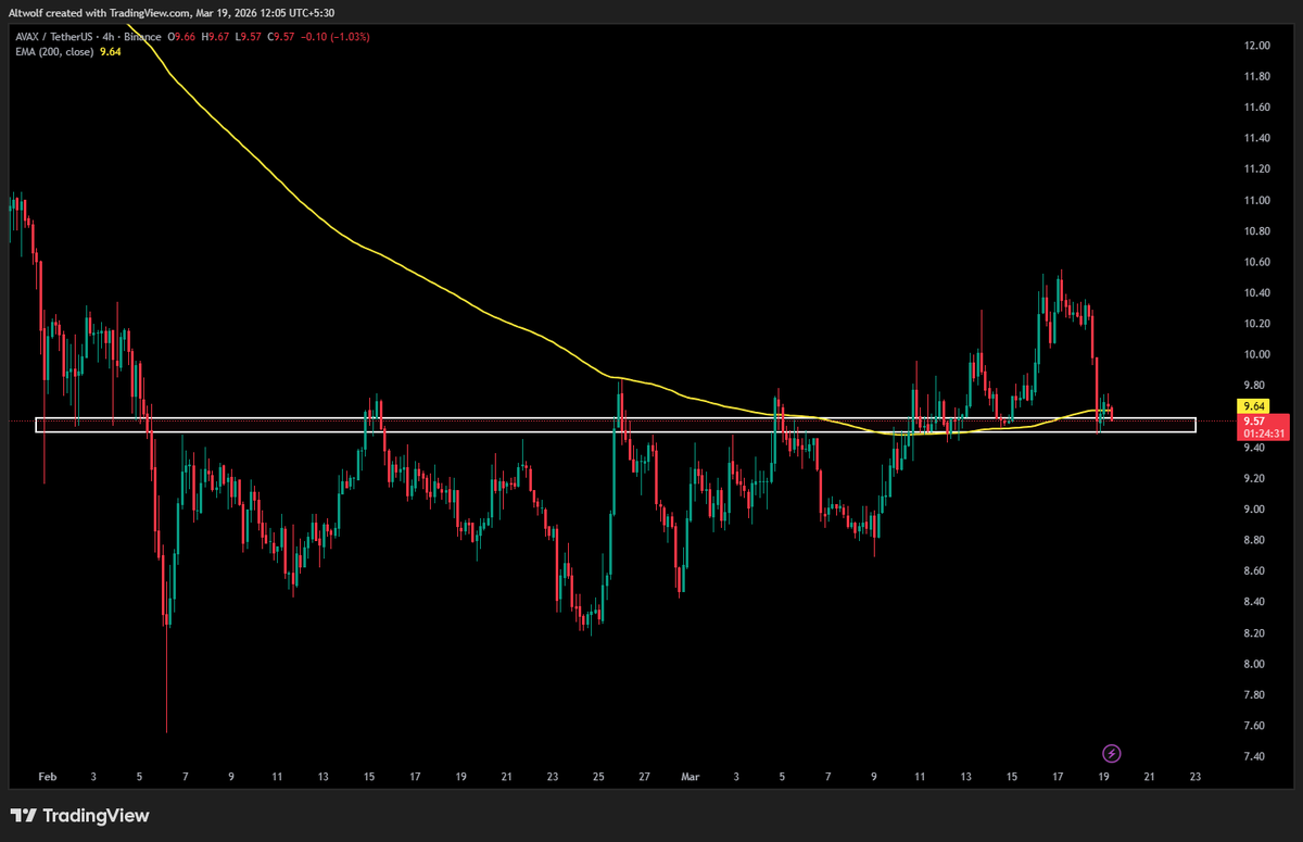 AltWolf🐺 tweet media