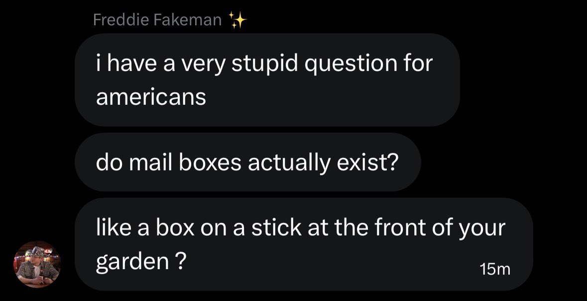 catie 🪱 tweet media