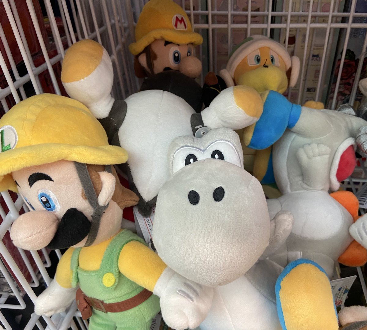 岐阜暴威 tweet media