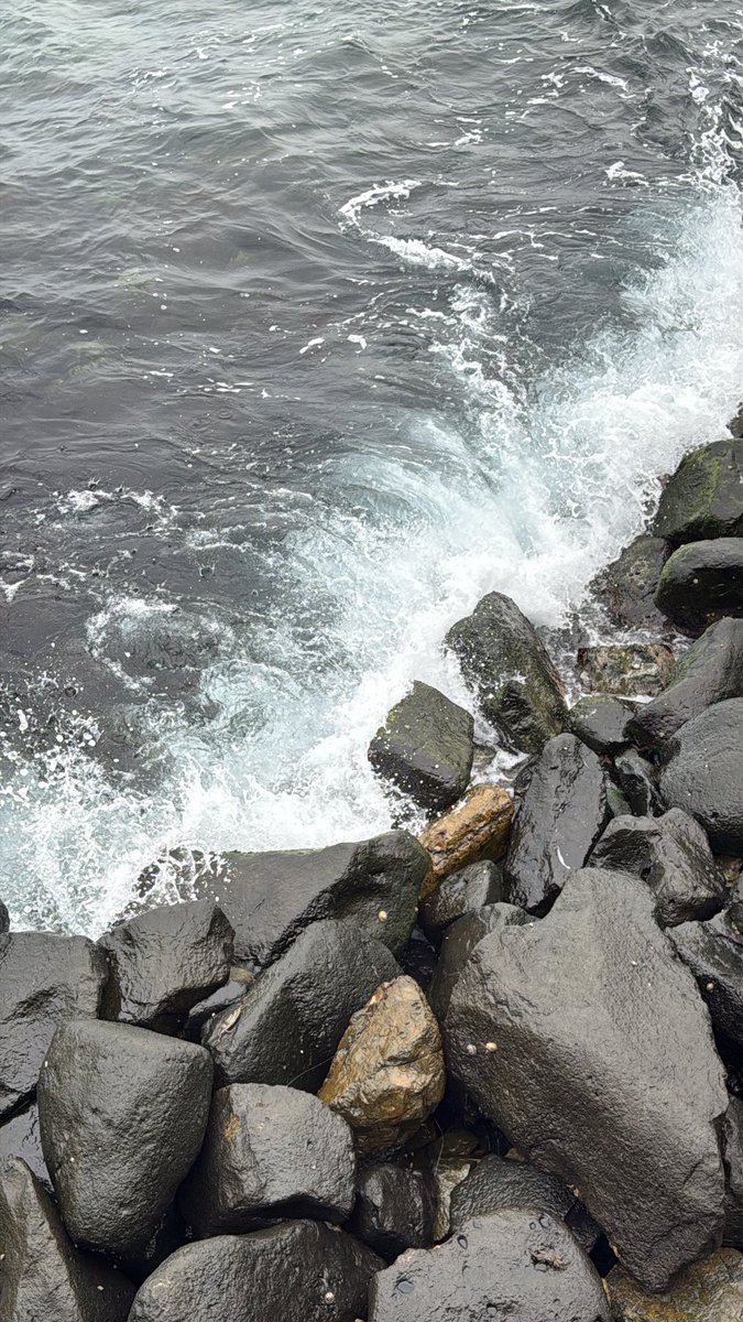 sunshine tweet media