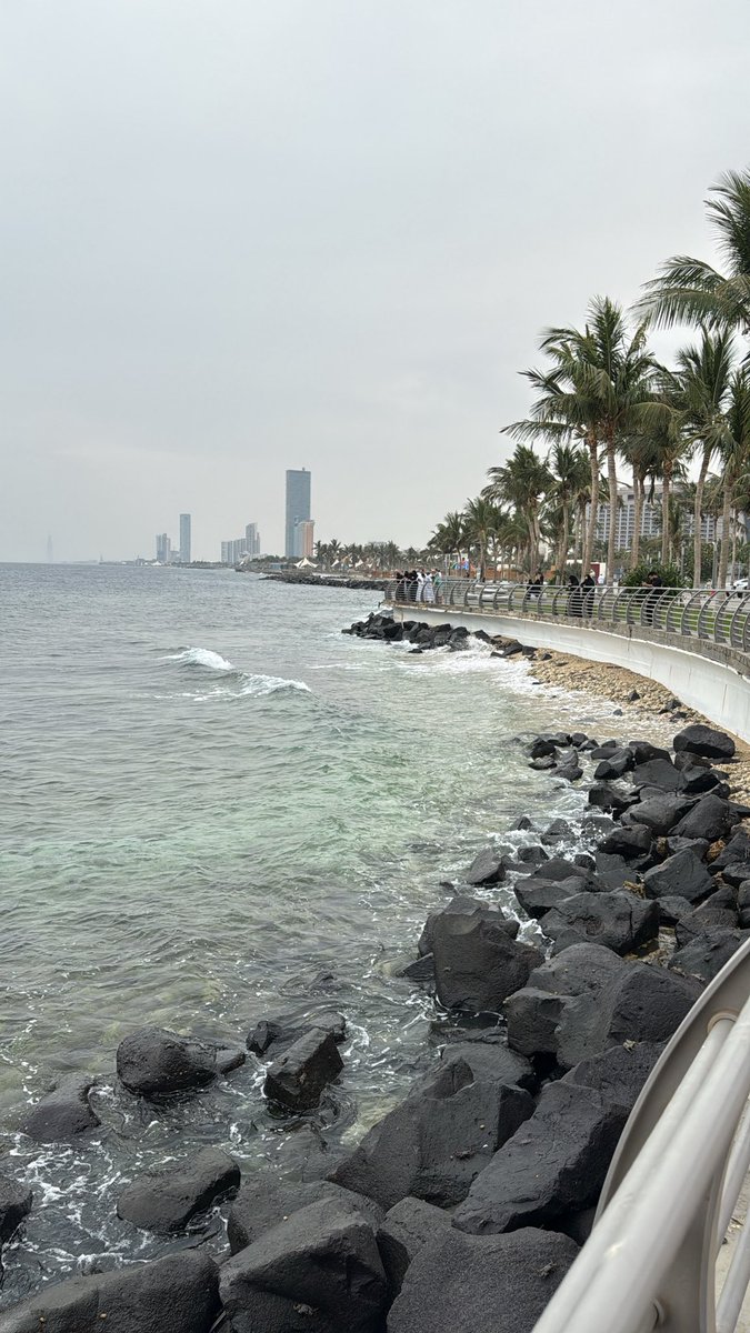 sunshine tweet media