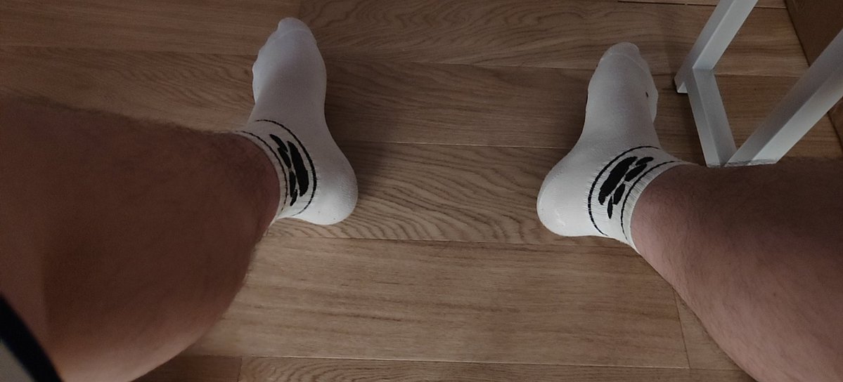 猫之梦霞 tweet media