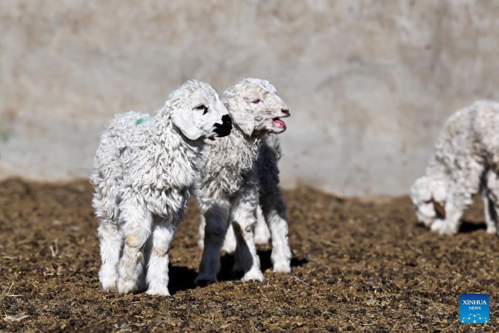 Beautiful China tweet media