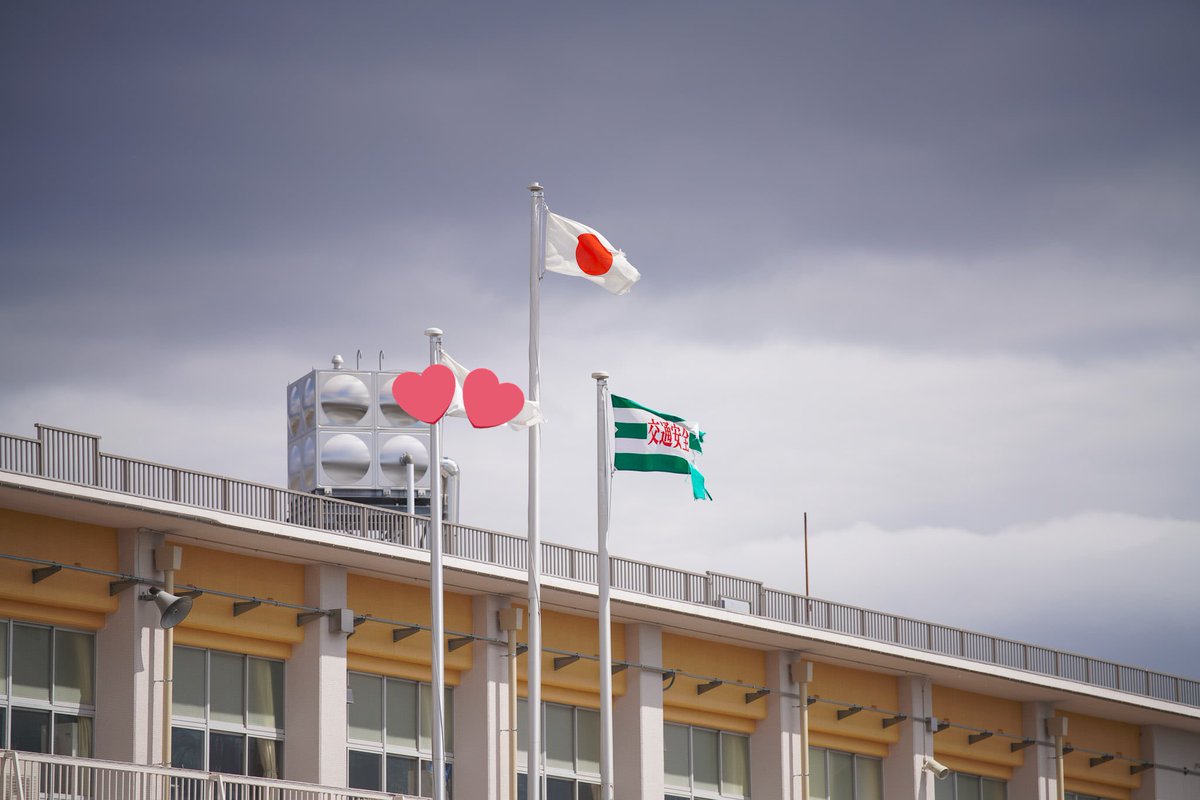 MicchiVlog/ミッチーブログ tweet media