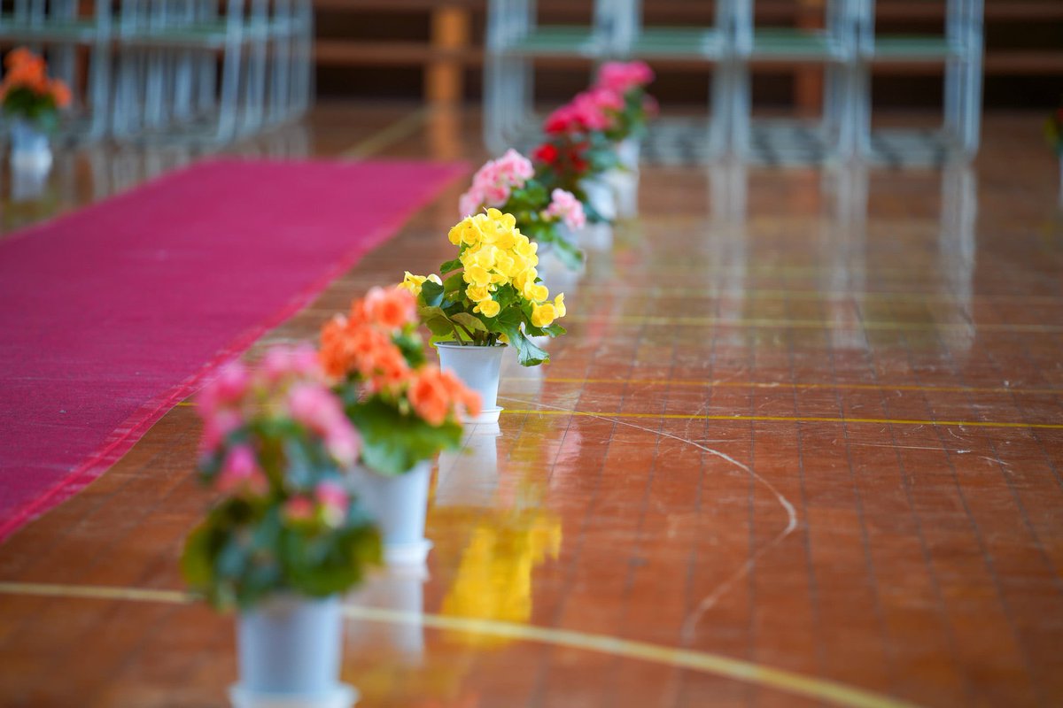 MicchiVlog/ミッチーブログ tweet media