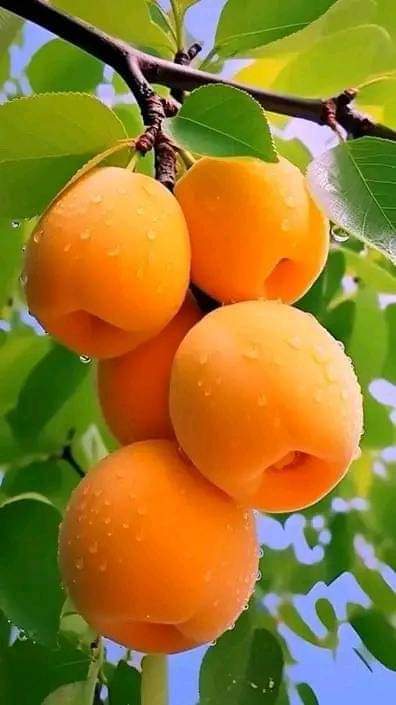 DMN4ever😘 tweet media