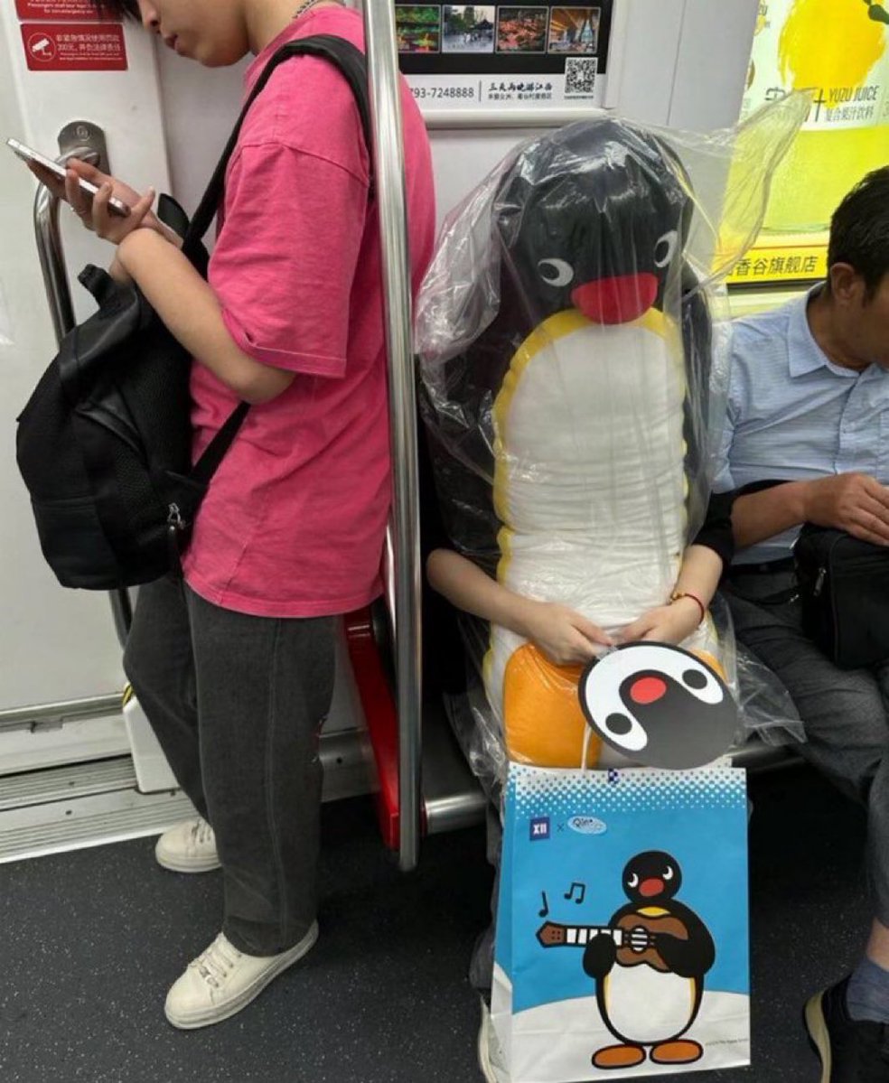 癒しの動物 tweet media