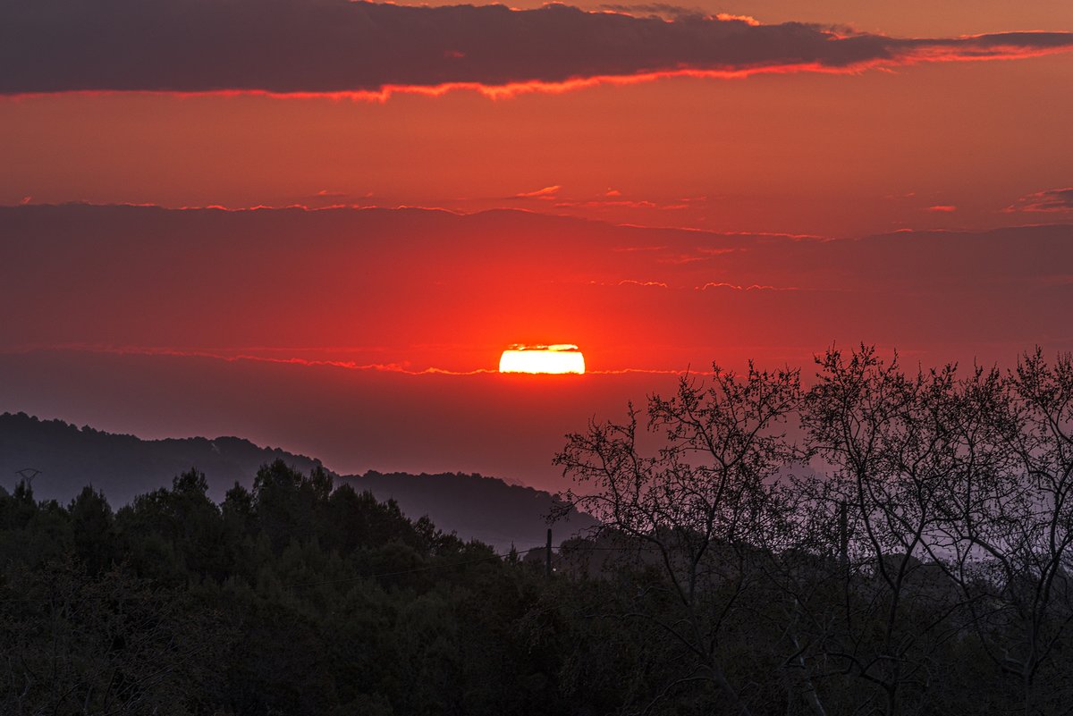 santquintimeteo's tweet photo. Buenos días, algunas nubes bajas hoy a la #salidadelsol, mínima de 9.4º. @tiempobrasero @Tiempo_Mercedes @HimarGonzalez @marcredondo @MeteoredES @RosaliaFdz @AEMET_Cat @ame_asociacion @lasextameteo https://t.co/YnDKLETcXq