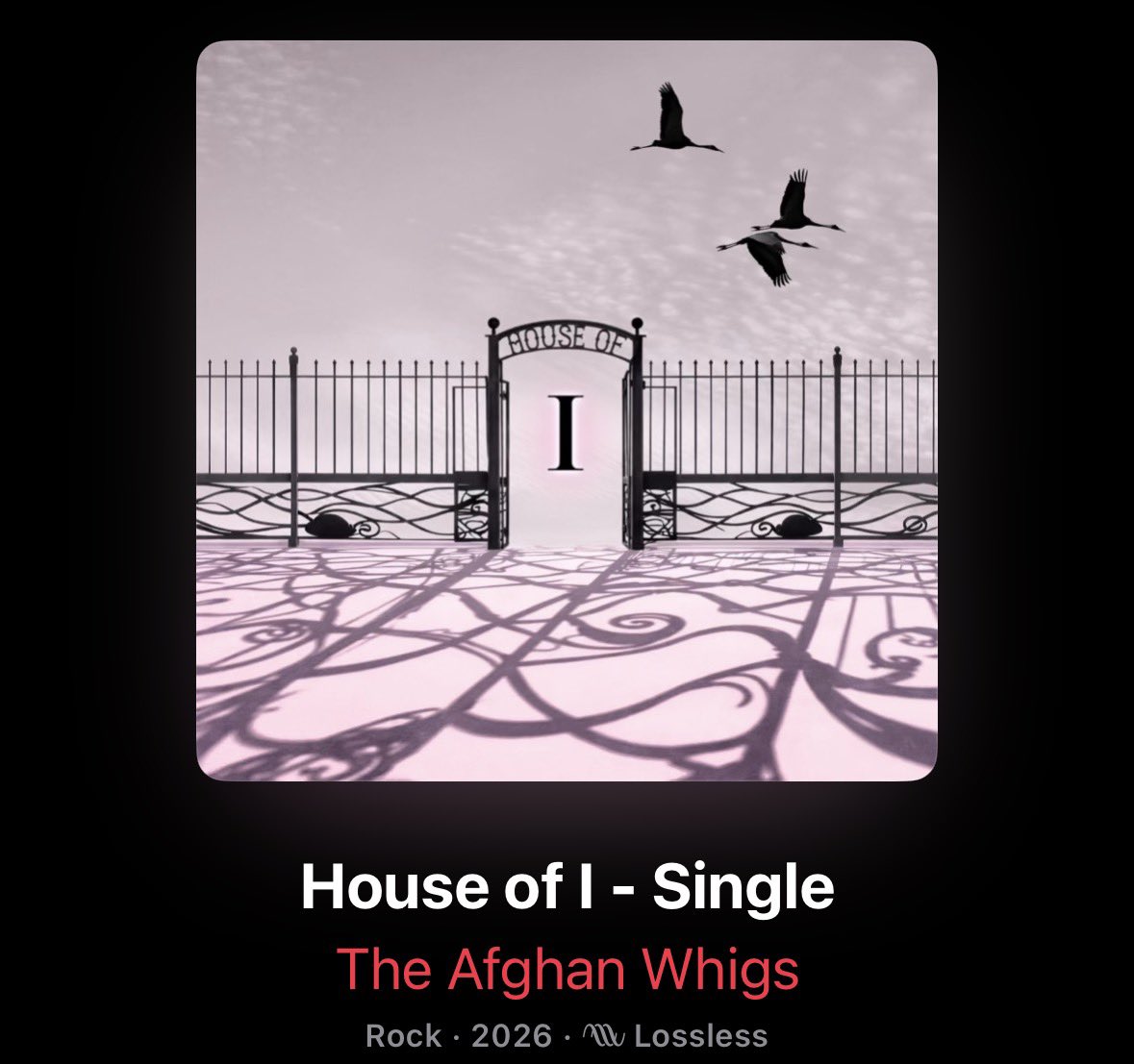 J P Fanton tweet media