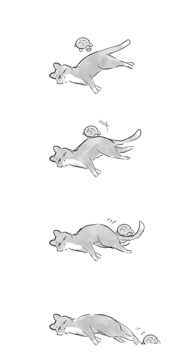 안경처돌이 tweet media