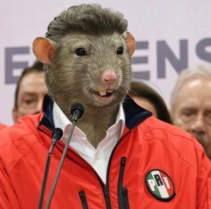 Salvador Castillo tweet media