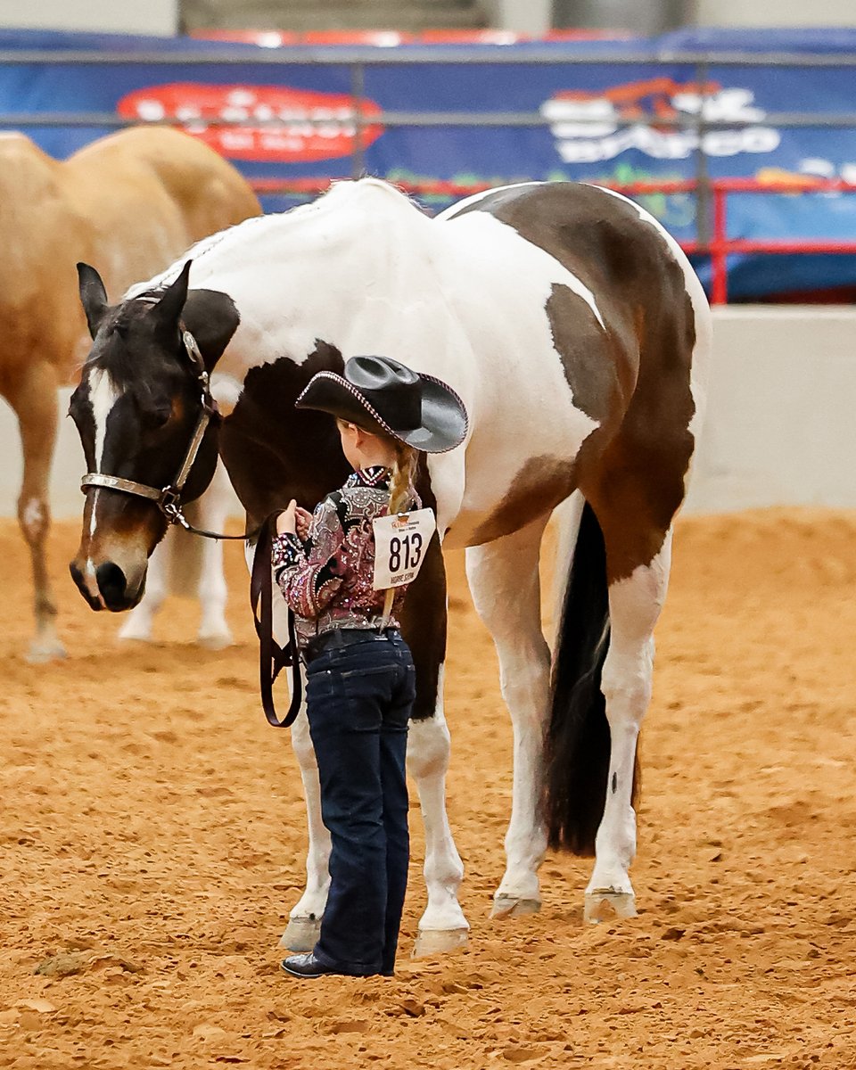 RODEOHOUSTON tweet media