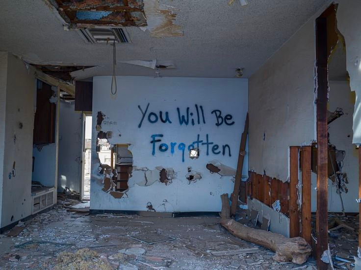 MythoAmerica 🌲 tweet media