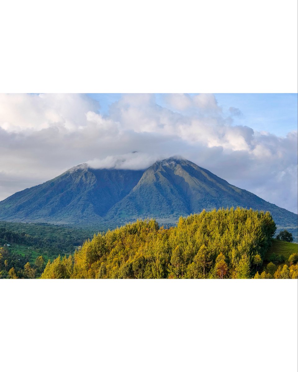 Jonathan Benaiah (alias The Ugandan Tourist) tweet media