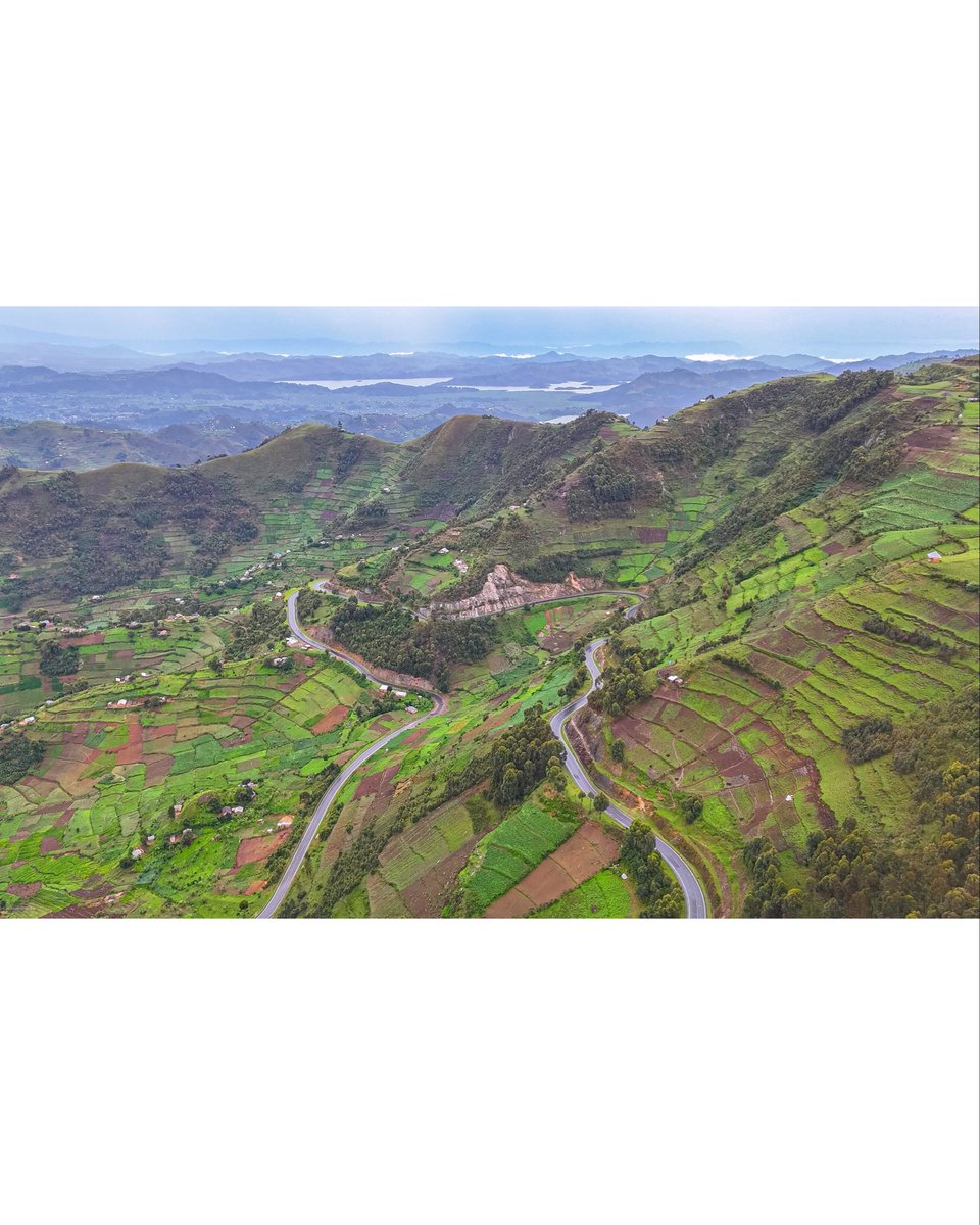 Jonathan Benaiah (alias The Ugandan Tourist) tweet media