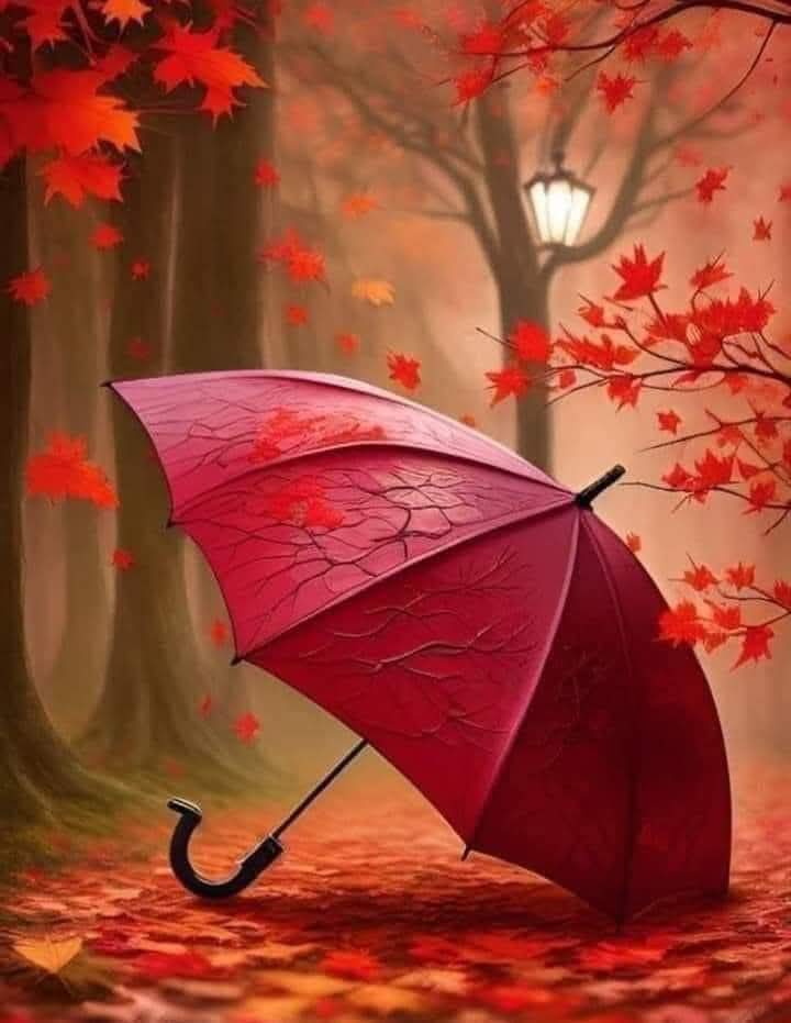 Tashvi💕💞 tweet media