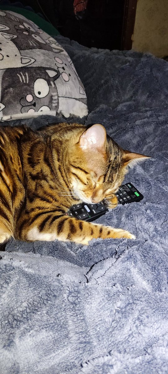 счастливо гадючится 🏹 tweet media