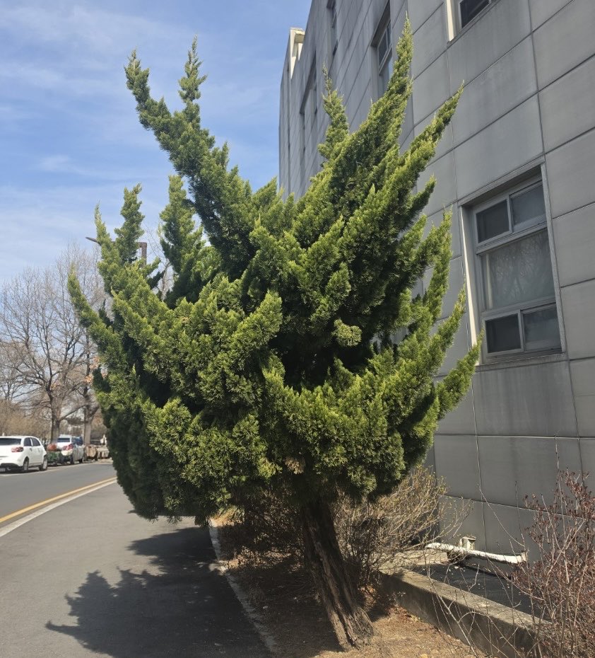 편집자 한학정 tweet media