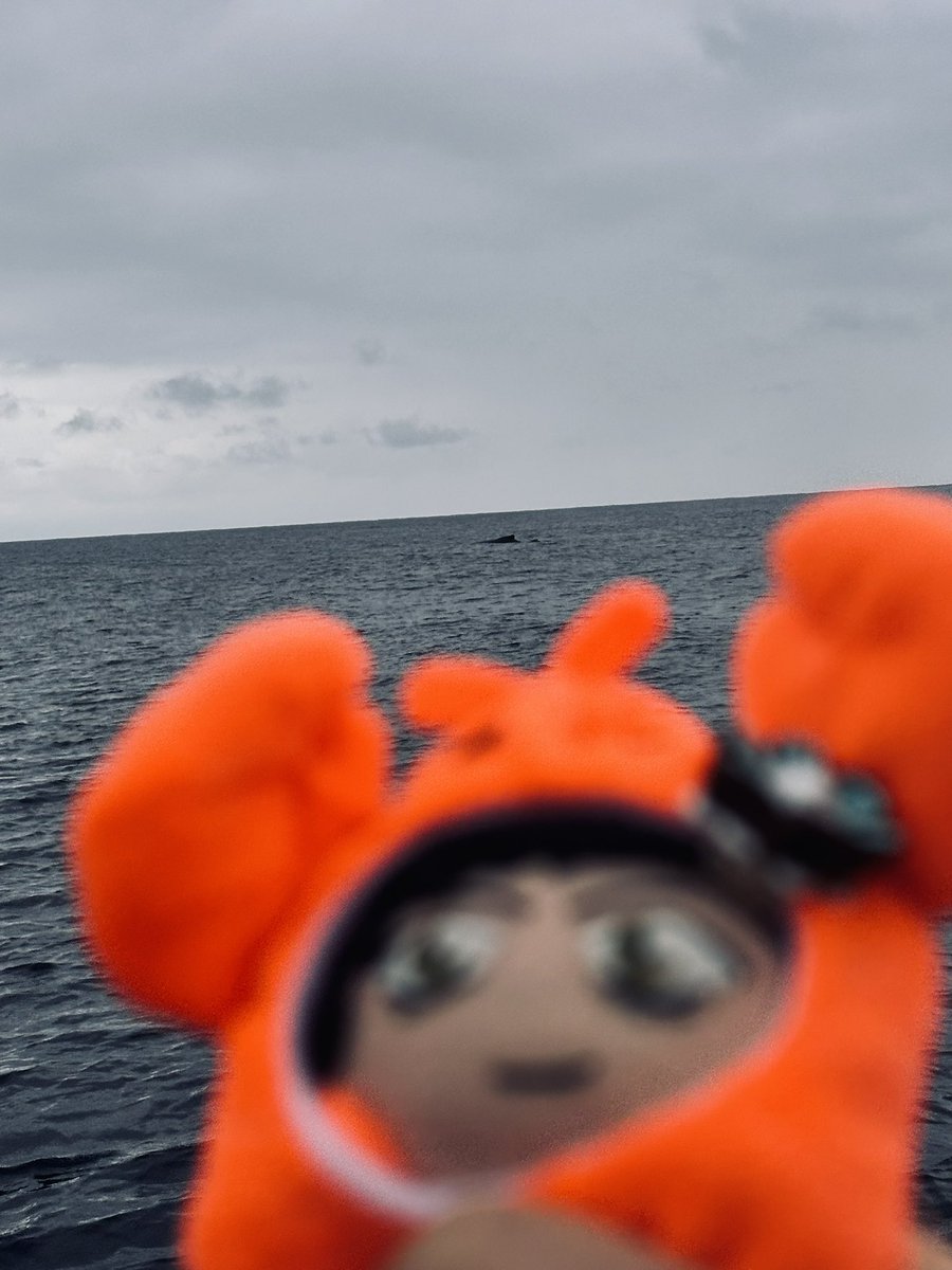 あかたろう tweet media