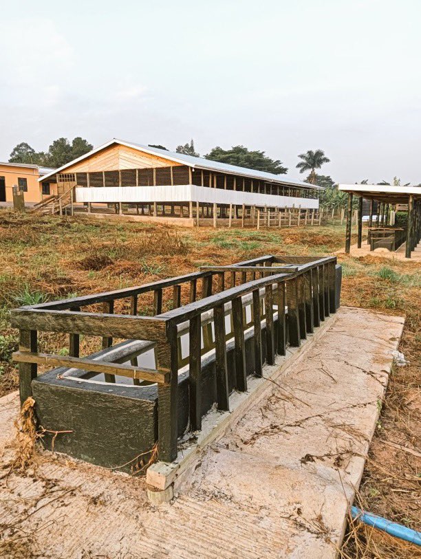 Dieudone HARAGIRIMANA tweet media