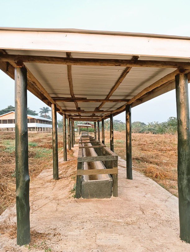 Dieudone HARAGIRIMANA tweet media