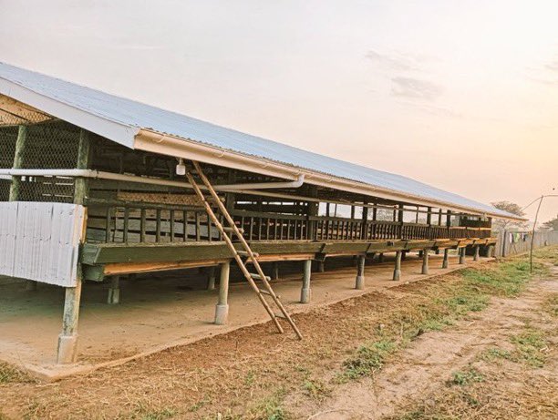 Dieudone HARAGIRIMANA tweet media