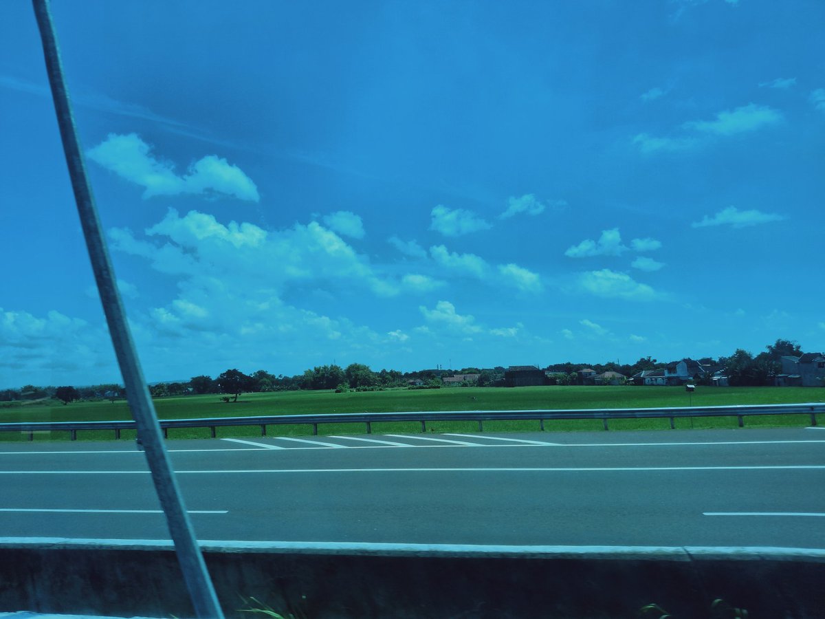 Tami アースマン tweet media